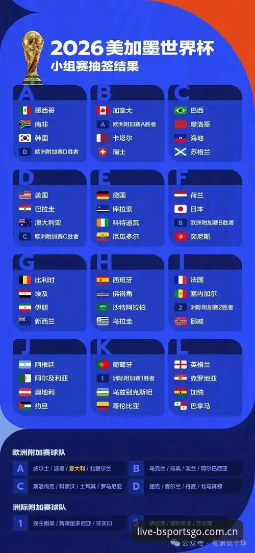 2026世界杯观赛危机深度分析：地缘政治与签证政策如何影响B体育用户的赛事体验
